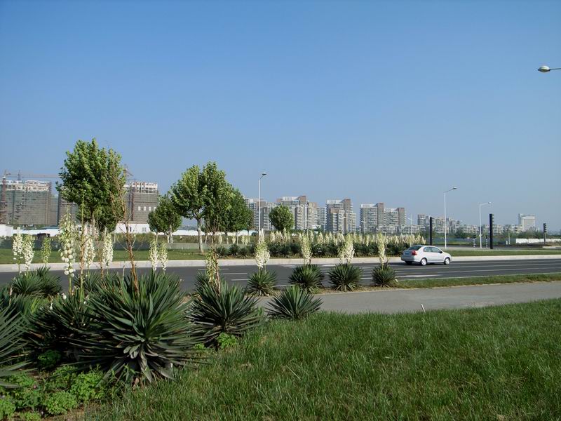 南京仙林大道